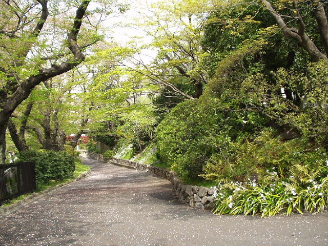 img0005.jpg