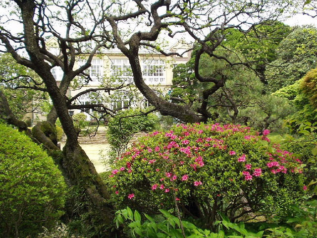 img0050.jpg