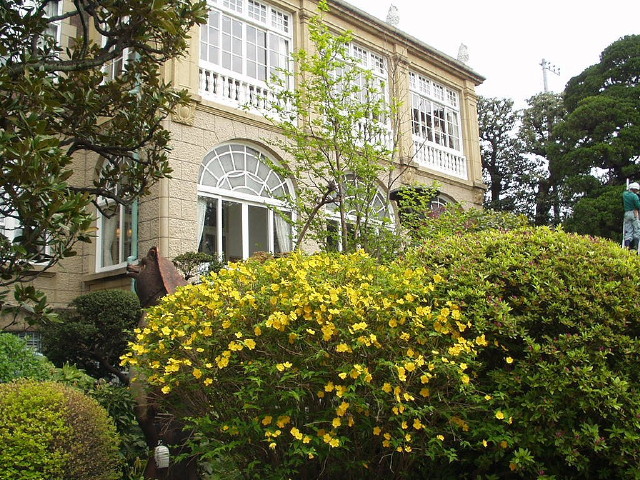 img0058.jpg