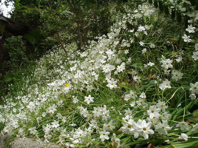 img0060.jpg