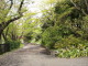 img0005.jpg