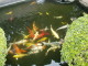 img0055.jpg