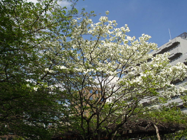 img0003.jpg