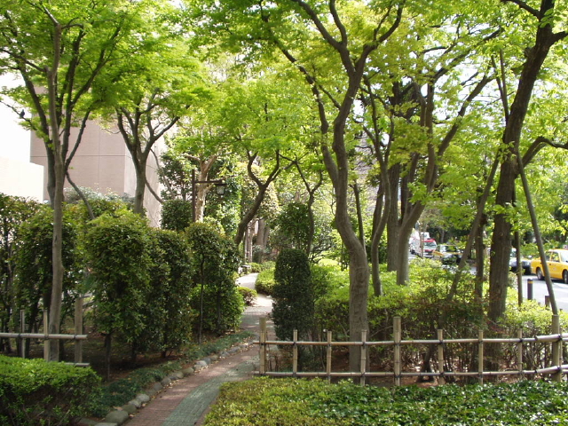 img0017.jpg