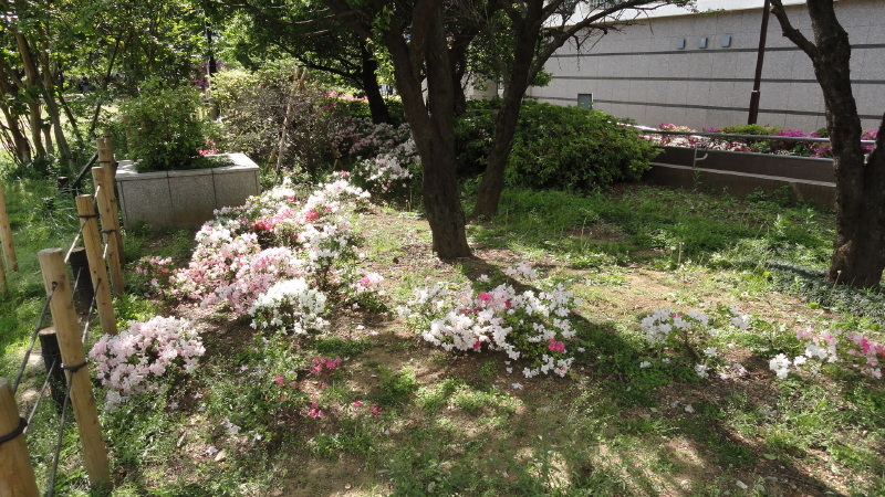 img0006.jpg
