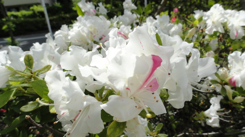 img0013.jpg