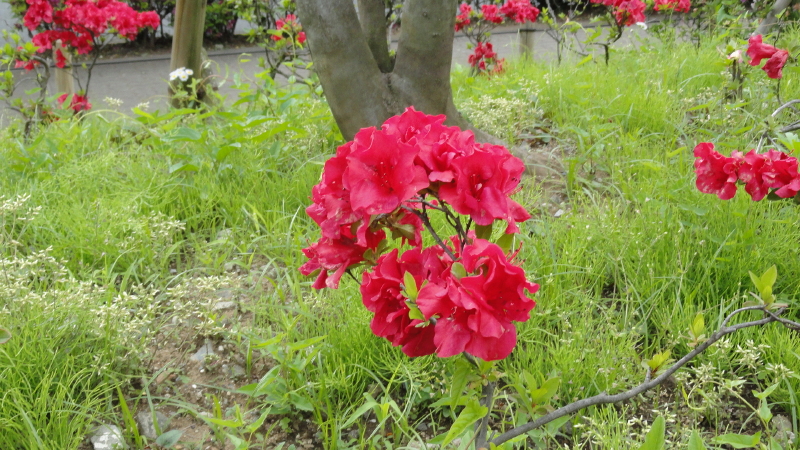 img0024.jpg