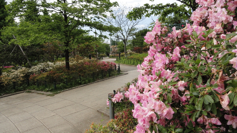 img0025.jpg