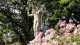img0001.jpg