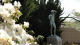 img0002.jpg