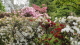 img0018.jpg