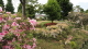 img0021.jpg