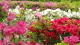 img0023.jpg