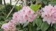 img0026.jpg