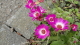 img0030.jpg