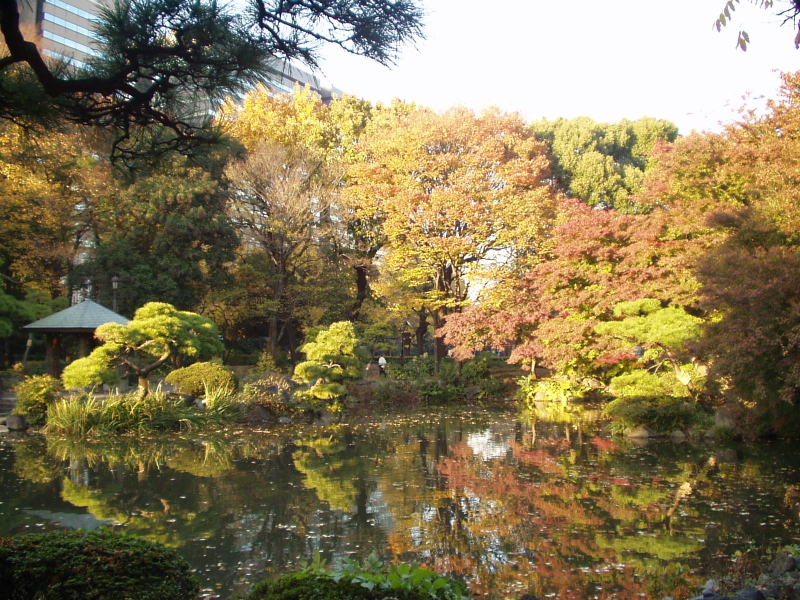 img0010.jpg