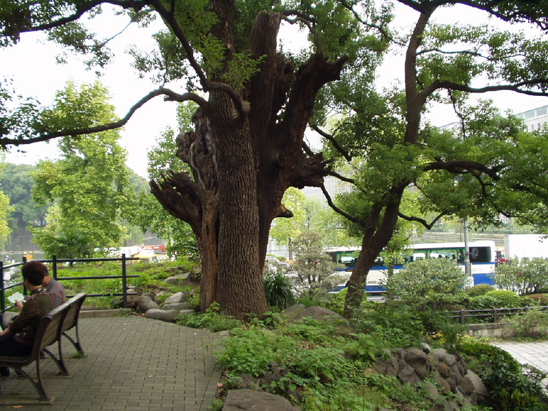 img0015.jpg