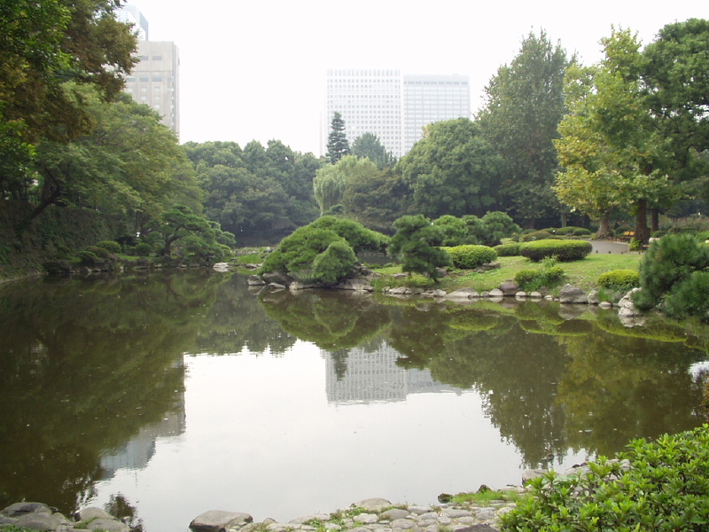 img0016.jpg