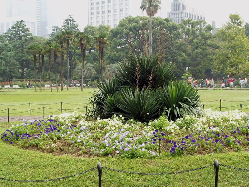 img0024.jpg