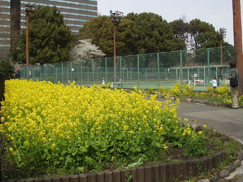 img0034.jpg