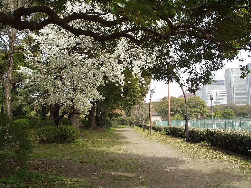 img0036.jpg