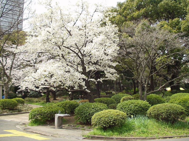 img0042.jpg