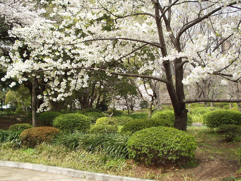 img0043.jpg