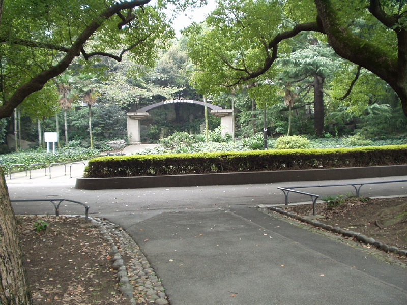 img0052.jpg