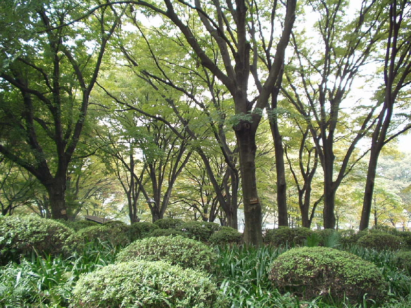 img0053.jpg