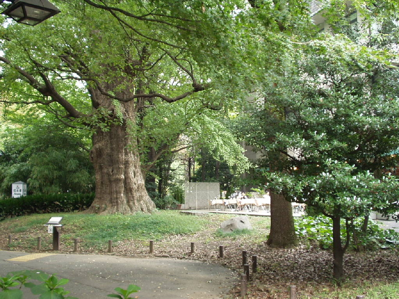img0055.jpg