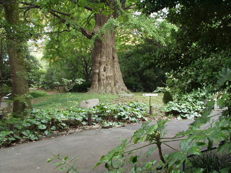 img0056.jpg