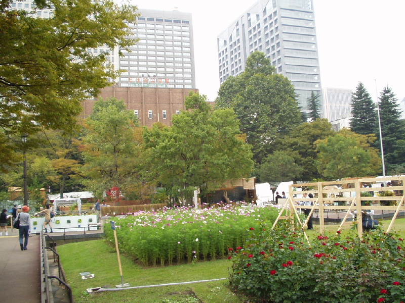 img0060.jpg
