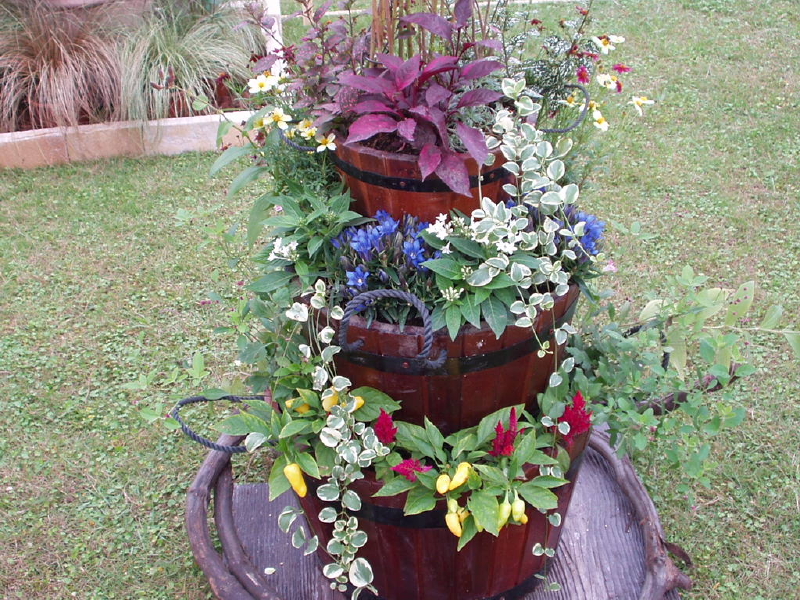 img0067.jpg