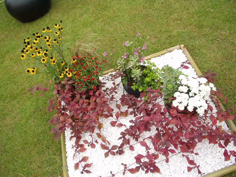 img0072.jpg