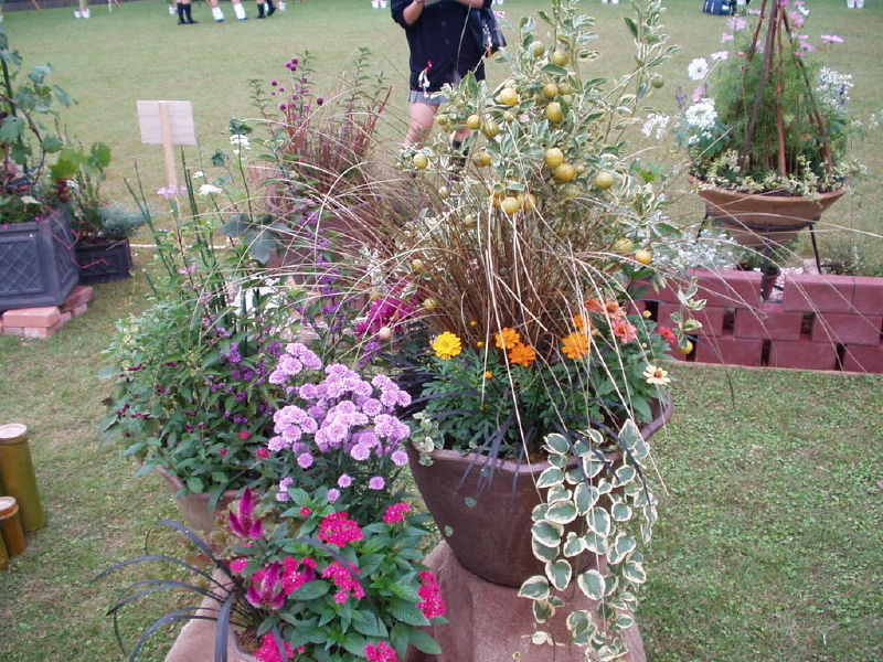 img0073.jpg