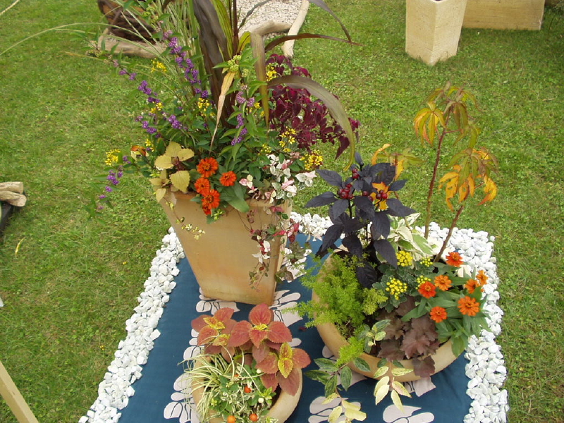 img0074.jpg