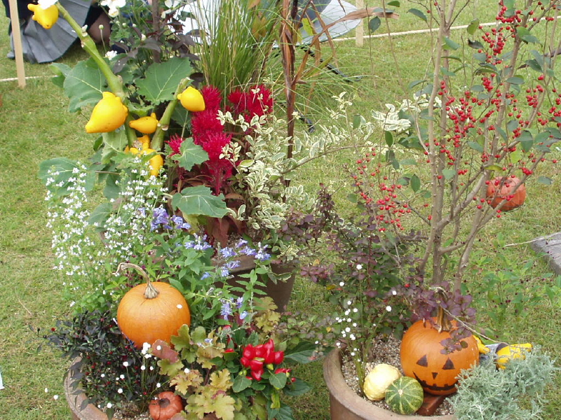 img0076.jpg