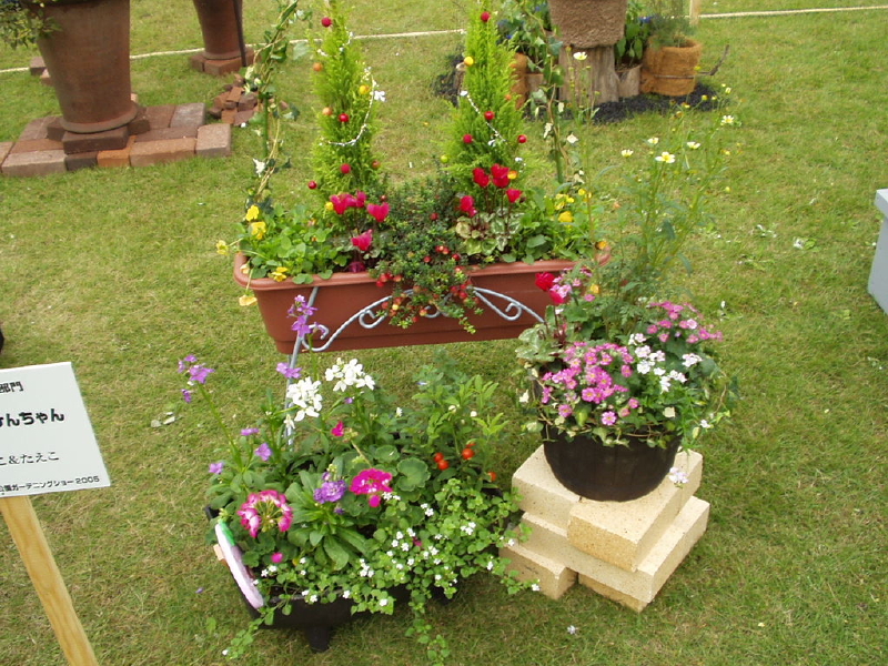 img0077.jpg