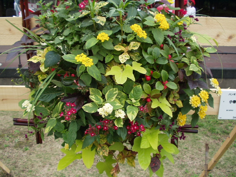 img0079.jpg