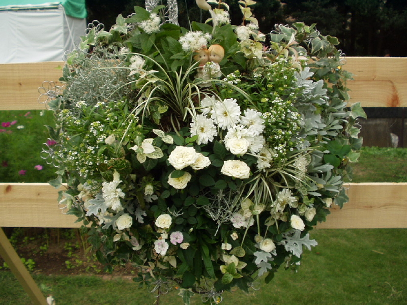 img0080.jpg