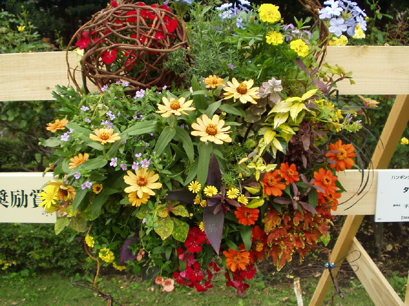 img0081.jpg