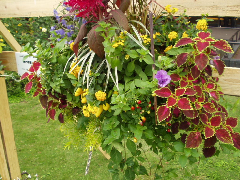 img0083.jpg