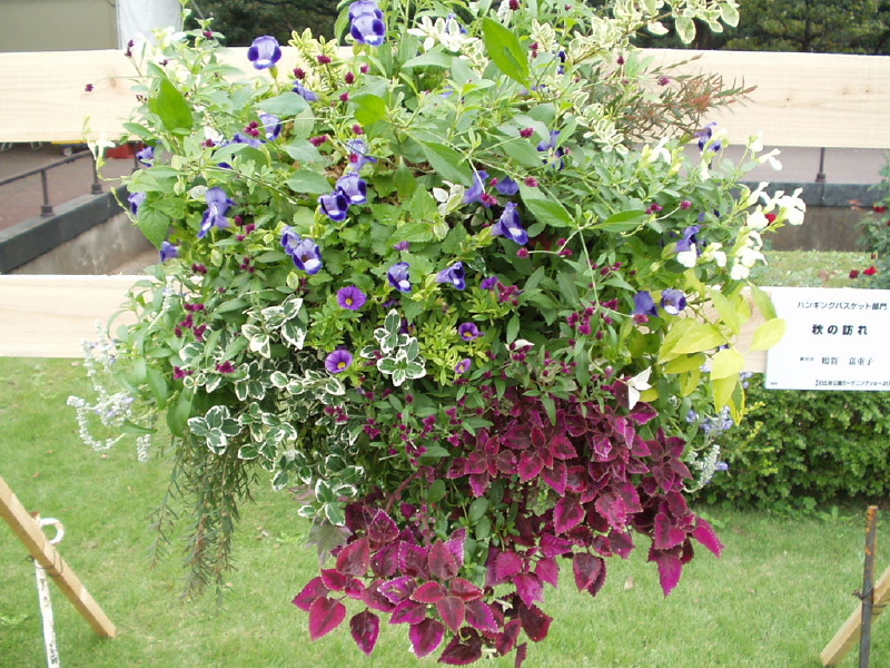 img0085.jpg