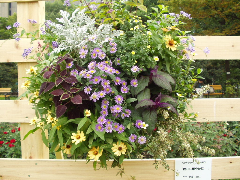 img0086.jpg