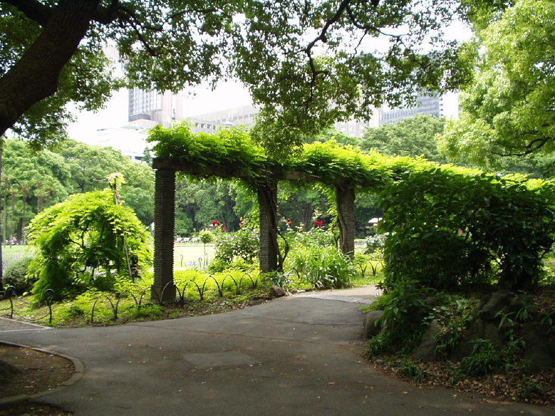 img0090.jpg