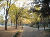 img0007.jpg