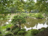 img0013.jpg