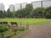 img0017.jpg