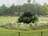 img0024.jpg