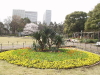 img0030.jpg